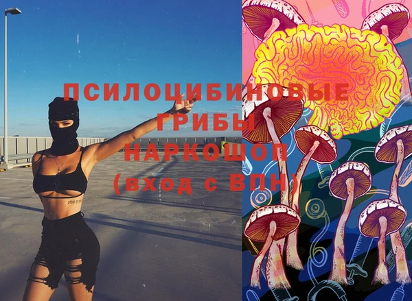 соль ск Верхний Тагил