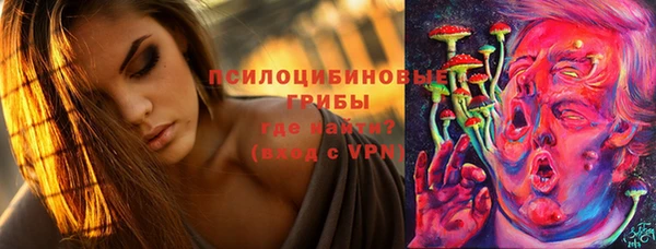 соль ск Верхний Тагил