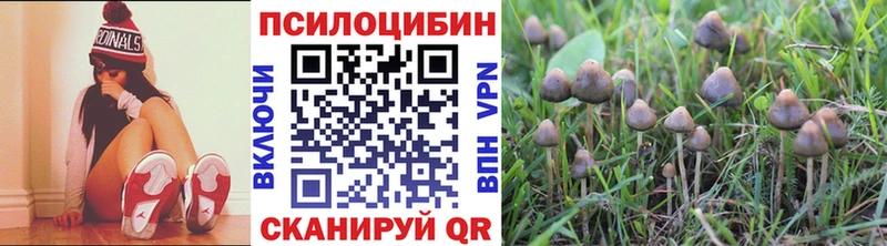 Галлюциногенные грибы GOLDEN TEACHER  hydra вход  Иланский 