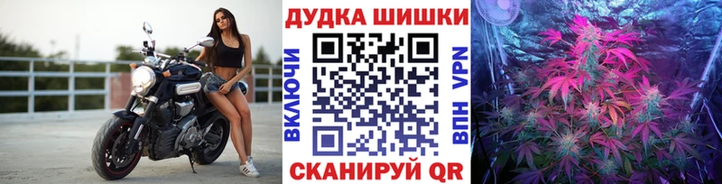 Бошки марихуана MAZAR  Иланский 